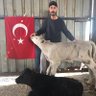 Mustafa 的头像