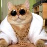 marmaladejam14's profile picture