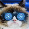 Tane ($NTMPI $FLUX $PROPS $YBR)'s profile picture