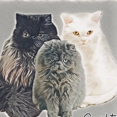 nekonotehu's profile picture