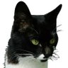 Profilbild von tamavita