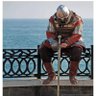 scavenger's profile picture