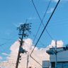 ちこりぃぬ🌹 的头像