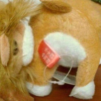 mk_ishi's profile picture