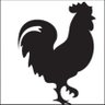 RegalChicken profil fotoğrafı