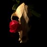 MrTatai83 #Uncertified's profile picture
