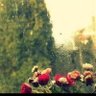 Фото профиля نوووونه