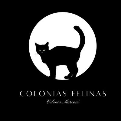 Colonias Felinas Polígono Industrial Villaverde's profile picture