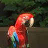 ラディ 的头像