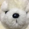 Profilbild von hikotan