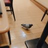 dorien... profil fotoğrafı