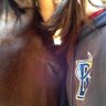 跳ね馬ライダー@雅維🏇 profil fotoğrafı