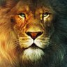 WhatsaMata8's profile picture