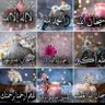 Karima Elkhayar's profile picture