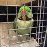 Khlay profil fotoğrafı
