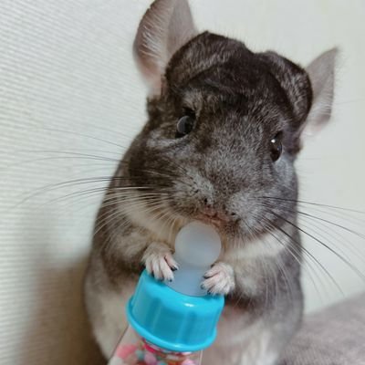 3UX7LKEdlvRVTTK's profile picture