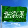 Muhammed Haci's profile picture