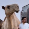 سعد ناصر الماجد's profile picture