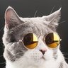 Profilbild von ろぴぴ