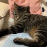 bb's profile picture