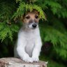 Opeyene profil fotoğrafı