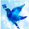 青い鳥 profil fotoğrafı
