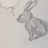 blackrabbit's profile picture
