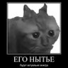 Не смотри, тут нет's profile picture