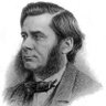 Nelson Ricardo Gonçalves de Freitas's profile picture