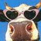 EarleeBird's profile picture