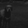 Profilbild von Sean