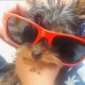 ismael_yc profil fotoğrafı