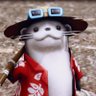 Profilbild von Jack