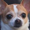 Profilbild von QQB