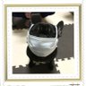 のんちゃん profil fotoğrafı