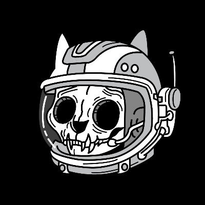BossCatRC's profile picture
