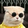 be cool Ⓥ👀😎🤙 profil fotoğrafı