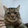 Ezzameee profil fotoğrafı