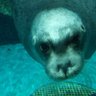 まんた 的头像