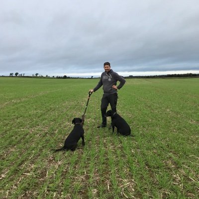 Tommy's profile picture