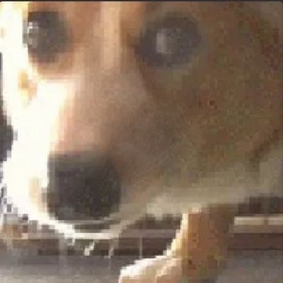 Dayo's profile picture