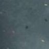Furkan's profile picture