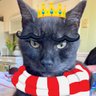 ๐บ๐ธโฅ๏ธTiger Lilyโฅ๏ธ๐บ๐ธ's profile picture