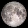 Wen Moon profil fotoğrafı
