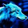 Chiberia's profile picture