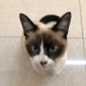Hu profil fotoğrafı