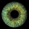 Profilbild von Fisch Fasch