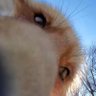 ✨Majkellis✨'s profile picture