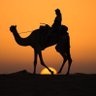Profilbild von حسن الغامدي