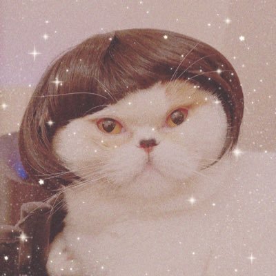 ca310's profile picture